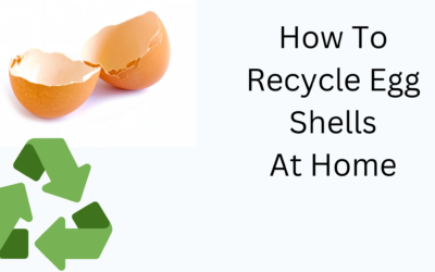 How To Recycle Egg Shells At Home